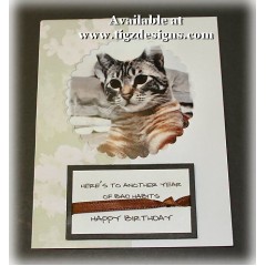 Cat Birthday Card - Snuffles 55